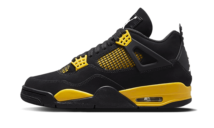 air-jordan-4-retro-thunder-2023-got'em-1