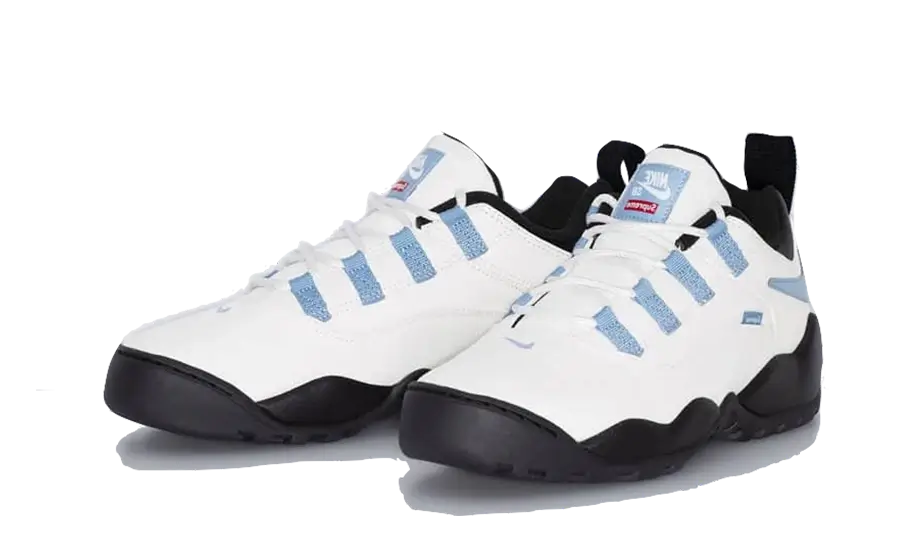 nike-sb-darwin-low-supreme-sail-got'em-2