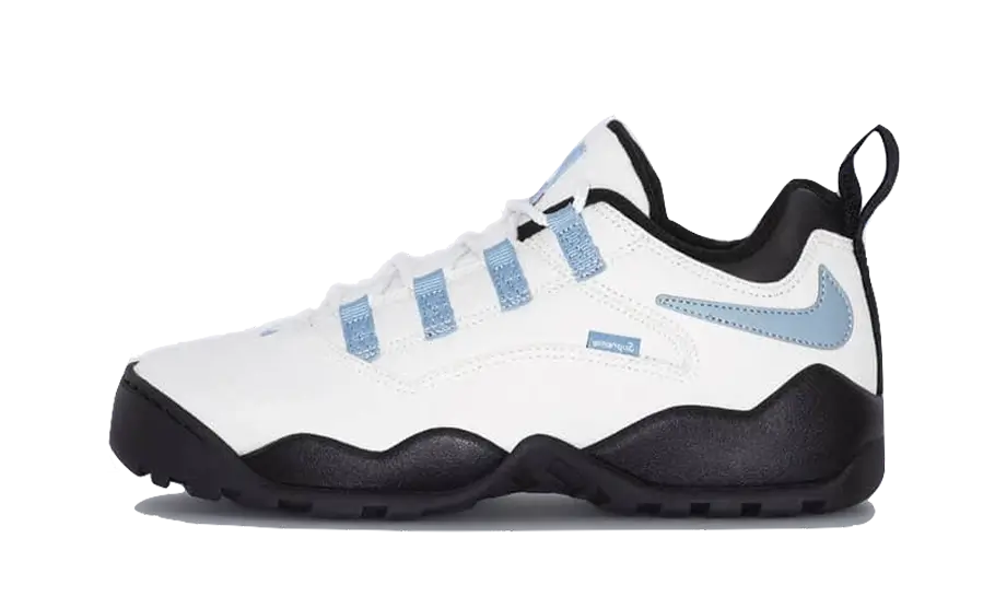 nike-sb-darwin-low-supreme-sail-got'em-1