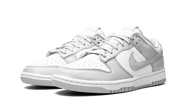 nike-dunk-low-grey-fog-got'em-2