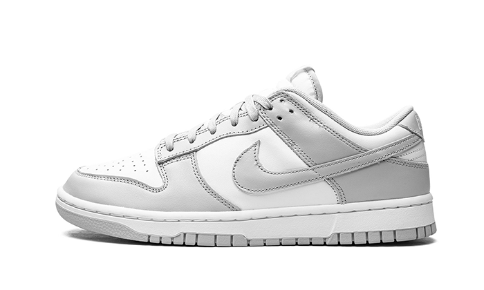 nike-dunk-low-grey-fog-got'em-1