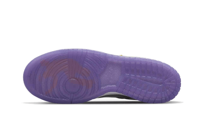 nike-dunk-low-union-passport-court-pack-purple-got'em-2