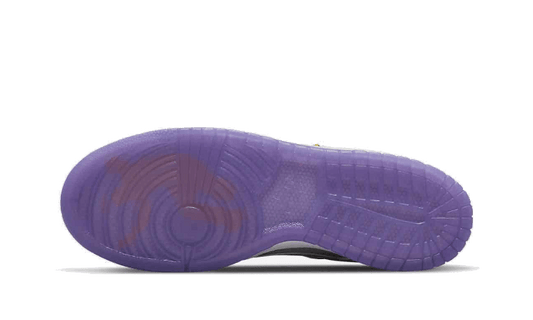 nike-dunk-low-union-passport-court-pack-purple-got'em-2