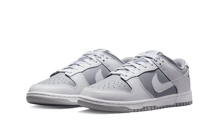 nike-dunk-low-retro-white-gray-got'em-2