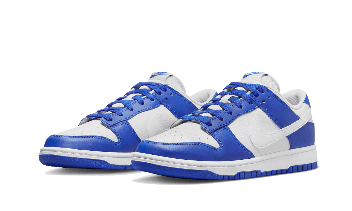 nike-dunk-low-kentucky-alternate-got'em-2