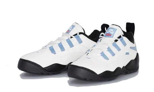 nike-sb-darwin-low-supreme-sail-got'em-2